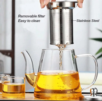 Thumbnail for Glass Tea Kettle & Teapot with Removable Stainless Steel Infuser